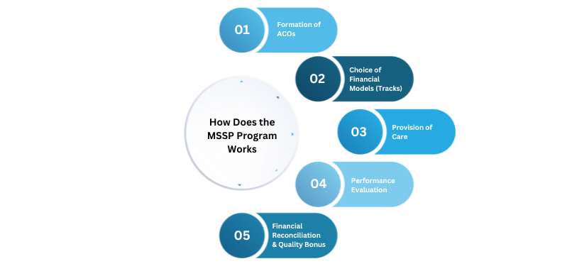 What Is MSSP