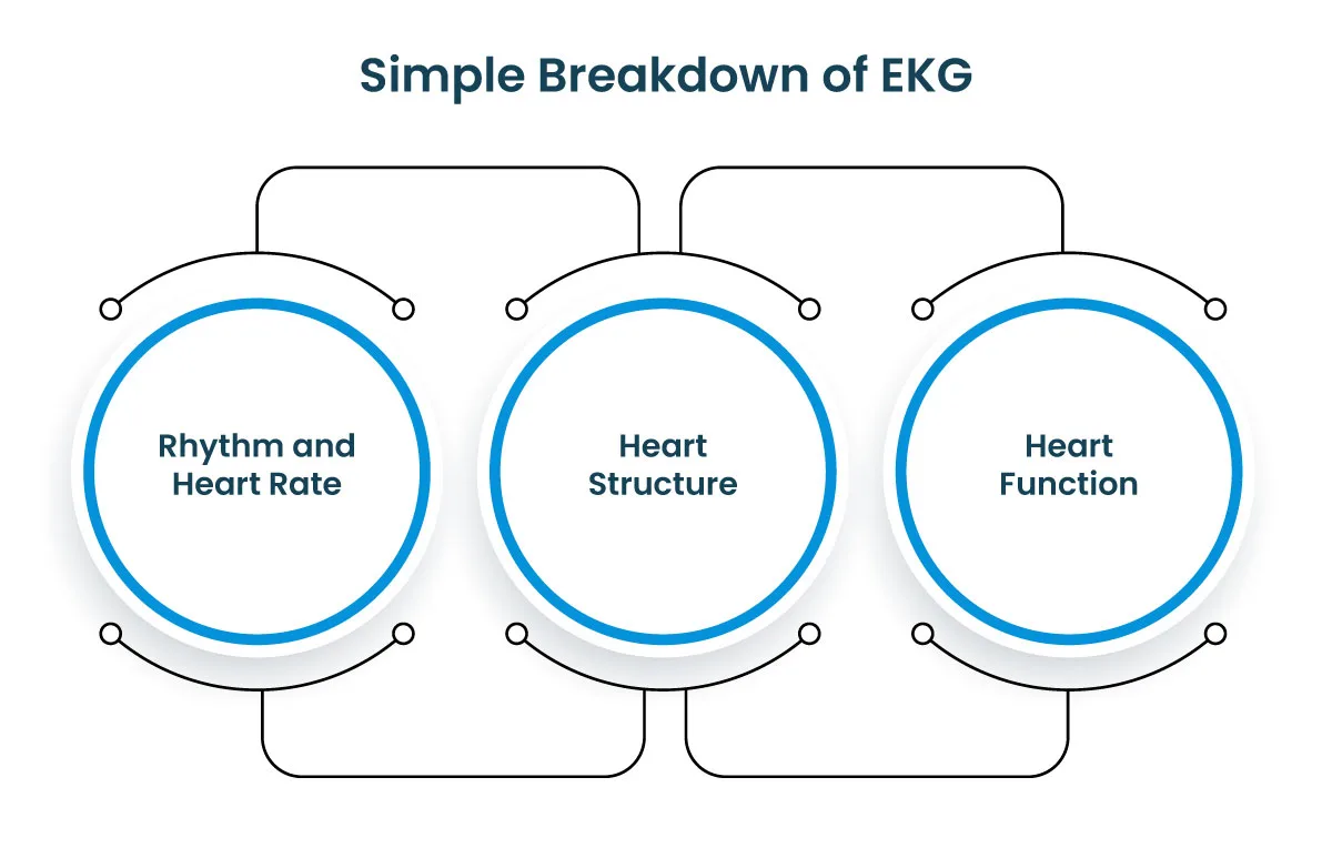 Simple-Breakdown-of-EKG